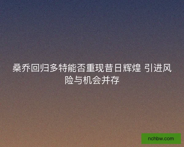 桑乔回归多特能否重现昔日辉煌 引进风险与机会并存