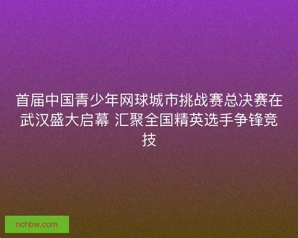 首届中国青少年网球城市挑战赛总决赛在武汉盛大启幕 汇聚全国精英选手争锋竞技
